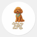 Search for toy poodle stickers Wolf