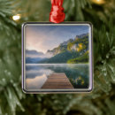 Search for pond christmas tree decorations Landscape
