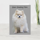 Search for poms cards Pom pom