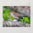 Search for aviary postcards Avian