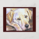 Search for yellow labrador retriever postcards Watercolor