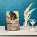 Search for guinea pig memorial Remembrance
