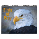 Search for birds of prey calendars Osprey