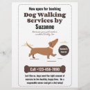 Search for pet sitter flyers Cats