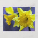 Search for easter love postcards Valentines