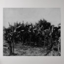Search for trinidad art English