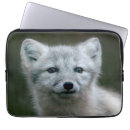 Search for habitat electronics Cute