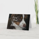 Search for kids belated birthday cards Cute