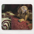 Search for one animal mouse mats Square