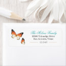 Search for monarch return address labels Butterflies