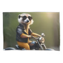 Search for motorcycles pillowcases Funny