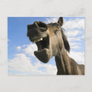 Search for yawn postcards Cute