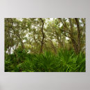 Search for refuges posters Trees