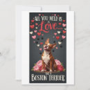 Search for boston terrier valentine Happy valentines day