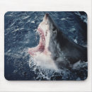 Search for open mouth mouse mats Animal