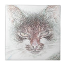 Search for angry tiles Cat