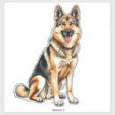 Search for wolfdog Cute