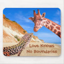 Search for boundary electronics Funny