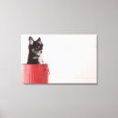 Search for chihuahua dog canvas prints Small