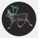 Search for electric light stickers Neon