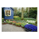Search for keukenhof Travel