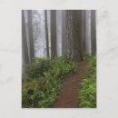 Search for giant postcards National park