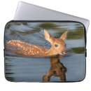 Search for odocoileus electronics Wildlife