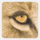 Search for kruger stickers Outdoors