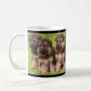 Search for shepherd puppy mugs Puppies