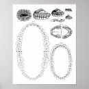 Search for dental posters Tooth