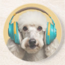 Search for deejay coasters Funny