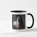 Search for plain colour photography Animals