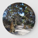 Search for wallaby art Wildlife