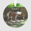 Search for maree photography Mare and foal