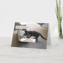 Search for pet sitter thank you cards Kitten