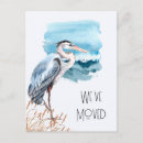 Search for florida bird postcards ocean