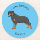 Search for rescue coasters Pets