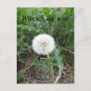 Search for plants vertical postcards Flora