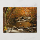 Search for rushing postcards Creek