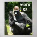 Search for gorilla posters Ape