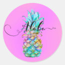 Search for aloha pineapples stickers Summer