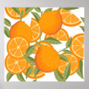 Search for citrus fruit posters Pattern