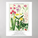 Search for colorado spring posters Retro