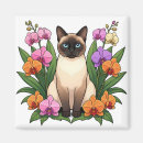 Search for siamese magnets Illustration