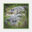 Search for gator magnets Wildlife