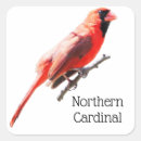 Search for northern cardinal stickers Wildlife