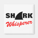 Search for shark magnets Funny