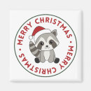 Search for racoon magnets Cute animals