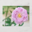 Search for birthday save the date postcards Floral