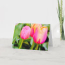 Search for hybrids cards Floral